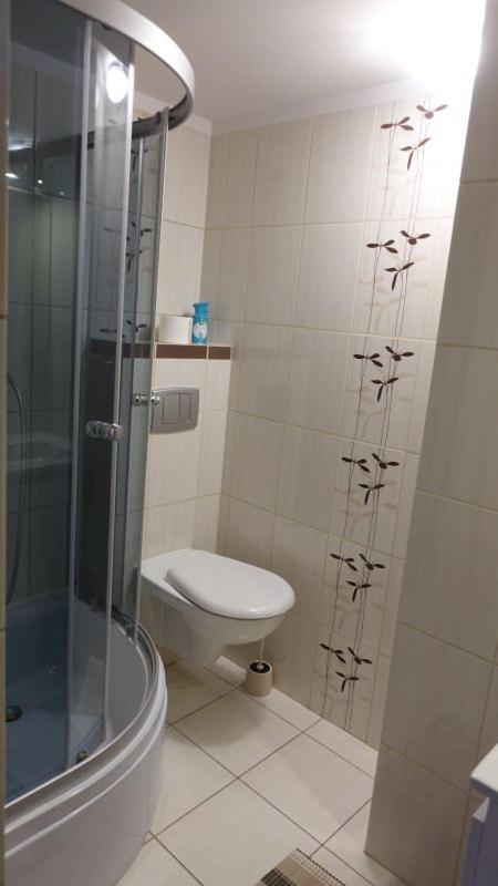 Pokoje Goscinne Lesny Zakatek Kepiaste Exteriör bild